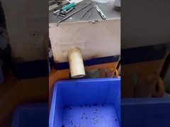 5 capas botones de camisa con en 18L uso en la camisa accesorio de ropa